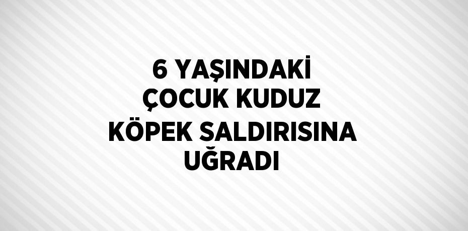 6 YAŞINDAKİ ÇOCUK KUDUZ KÖPEK SALDIRISINA UĞRADI