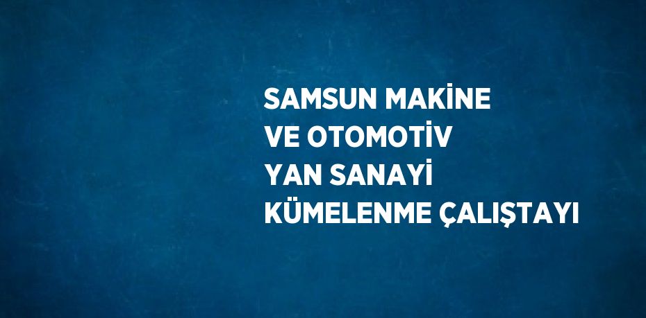 SAMSUN MAKİNE VE OTOMOTİV YAN SANAYİ KÜMELENME ÇALIŞTAYI