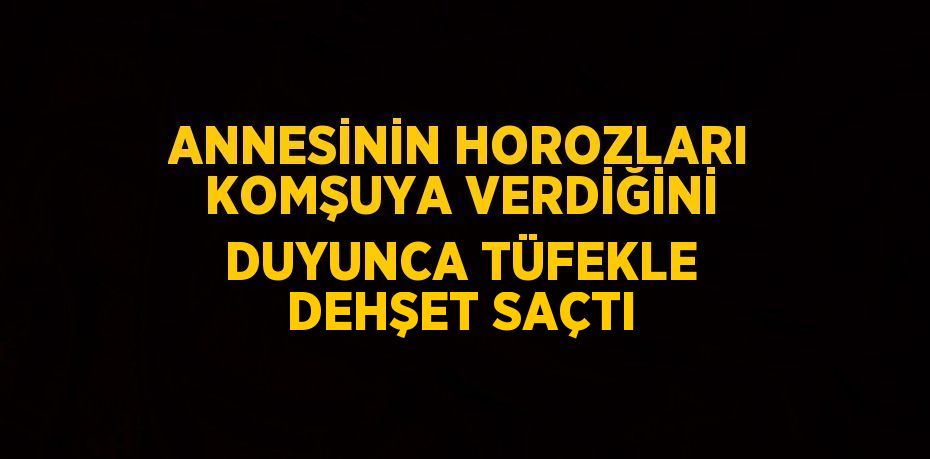 ANNESİNİN HOROZLARI KOMŞUYA VERDİĞİNİ DUYUNCA TÜFEKLE DEHŞET SAÇTI