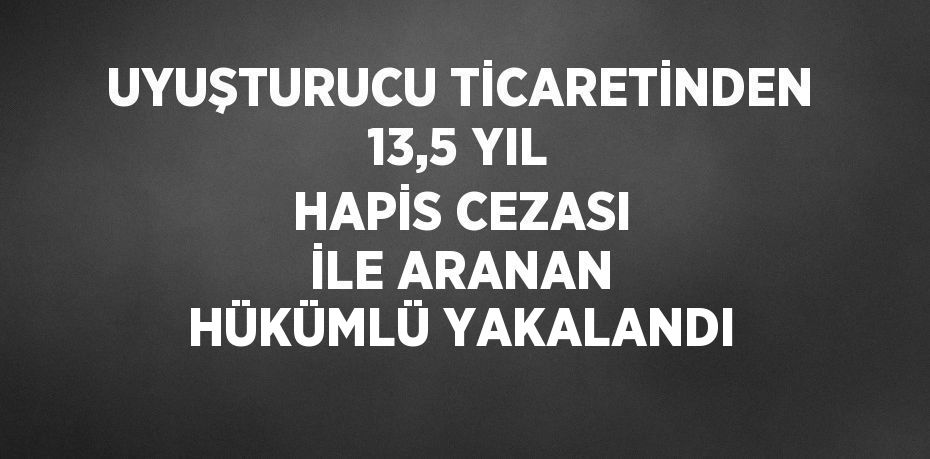 UYUŞTURUCU TİCARETİNDEN 13,5 YIL HAPİS CEZASI İLE ARANAN HÜKÜMLÜ YAKALANDI