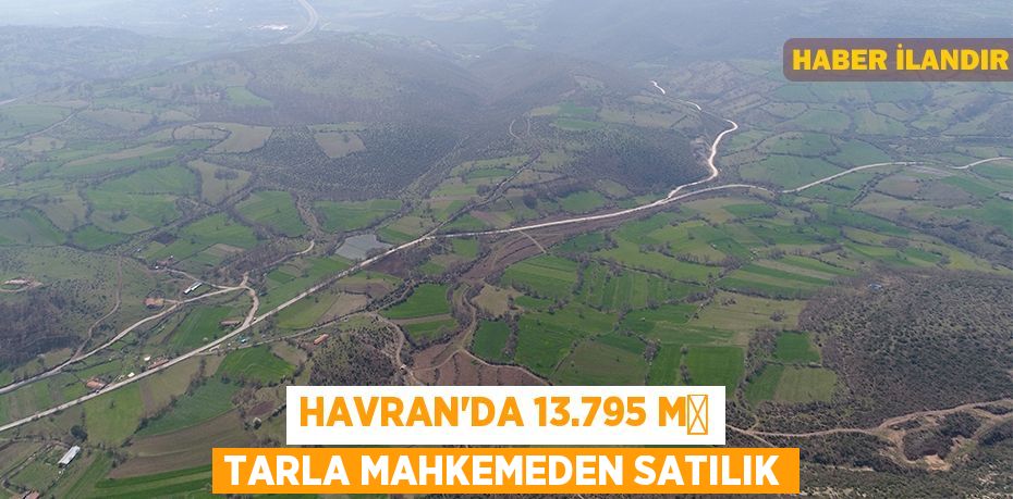 Havran'da 13.795 m² tarla mahkemeden satılık