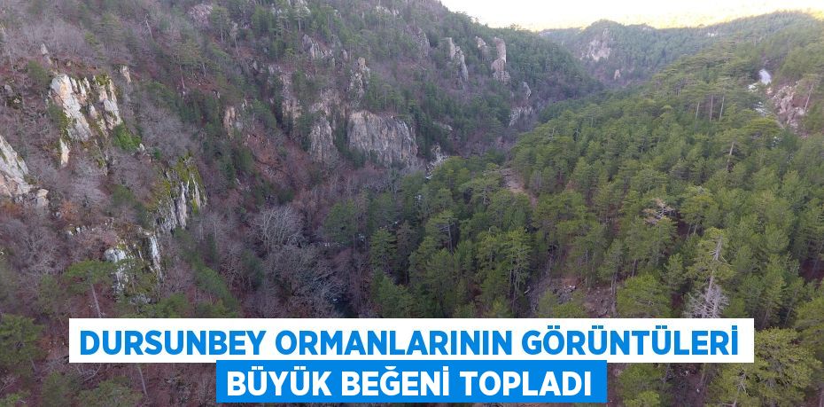 DURSUNBEY ORMANLARININ GÖRÜNTÜLERİ BÜYÜK BEĞENİ TOPLADI