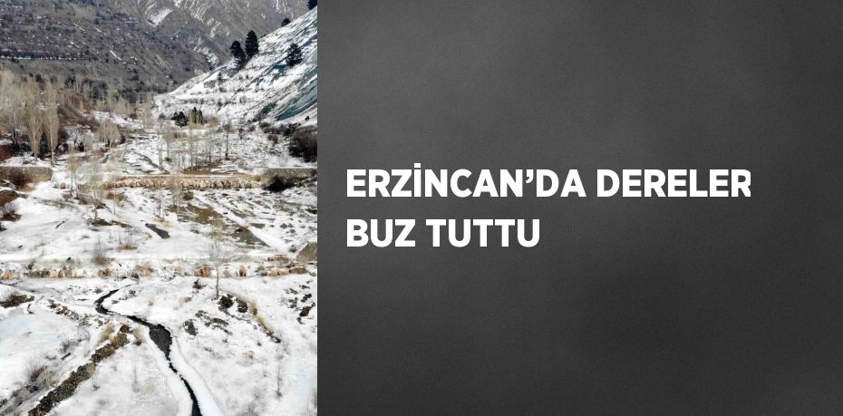 ERZİNCAN’DA DERELER BUZ TUTTU