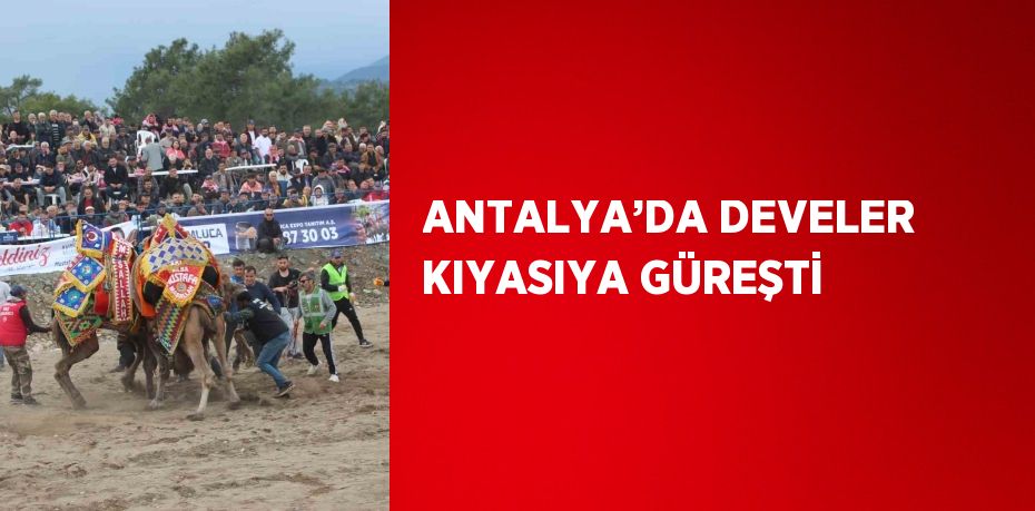 ANTALYA’DA DEVELER KIYASIYA GÜREŞTİ