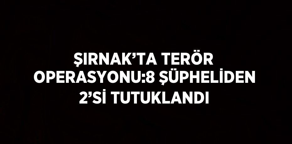 ŞIRNAK’TA TERÖR OPERASYONU:8 ŞÜPHELİDEN 2’Sİ TUTUKLANDI