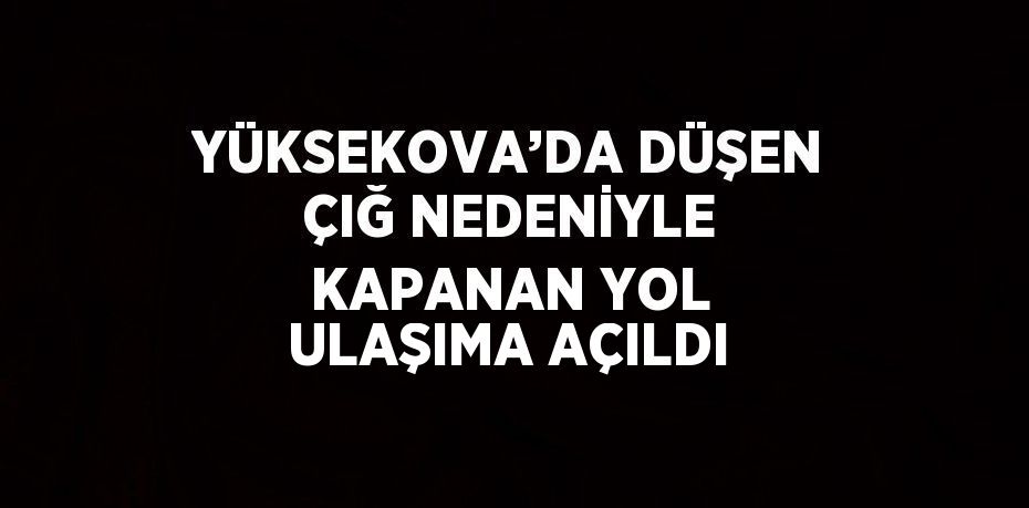 YÜKSEKOVA’DA DÜŞEN ÇIĞ NEDENİYLE KAPANAN YOL ULAŞIMA AÇILDI