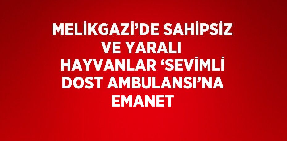 MELİKGAZİ’DE SAHİPSİZ VE YARALI HAYVANLAR ‘SEVİMLİ DOST AMBULANSI’NA EMANET