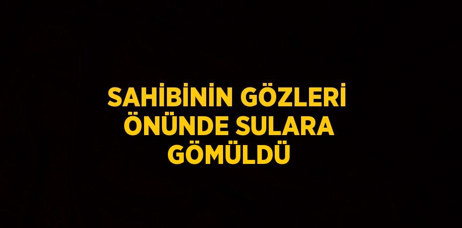 SAHİBİNİN GÖZLERİ ÖNÜNDE SULARA GÖMÜLDÜ