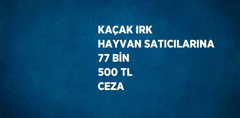 KAÇAK IRK HAYVAN SATICILARINA 77 BİN 500 TL CEZA