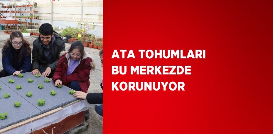 ATA TOHUMLARI BU MERKEZDE KORUNUYOR