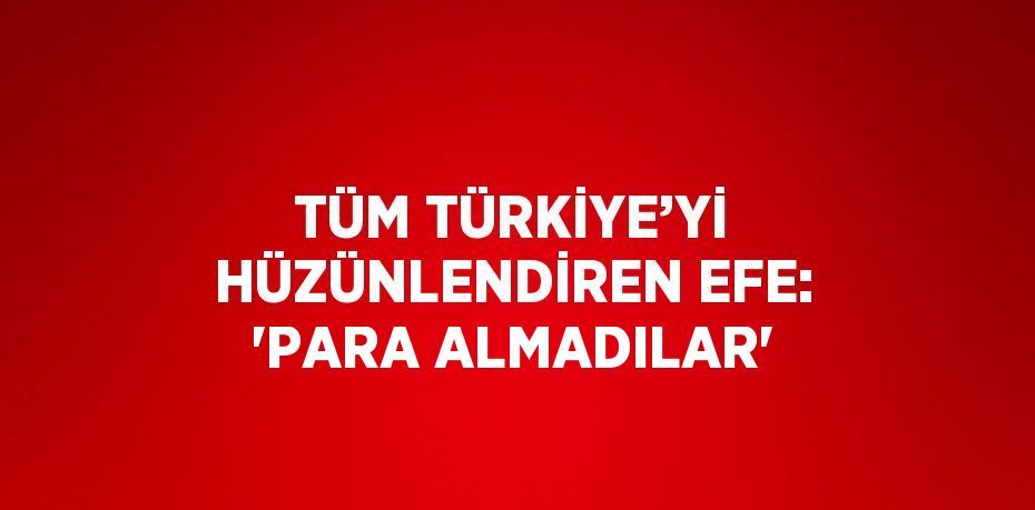 TÜM TÜRKİYE’Yİ HÜZÜNLENDİREN EFE: 'PARA ALMADILAR'