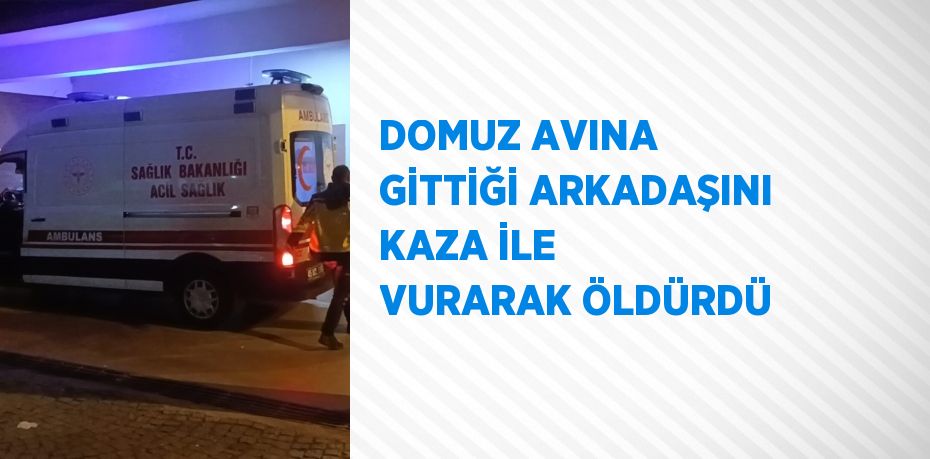 DOMUZ AVINA GİTTİĞİ ARKADAŞINI KAZA İLE VURARAK ÖLDÜRDÜ