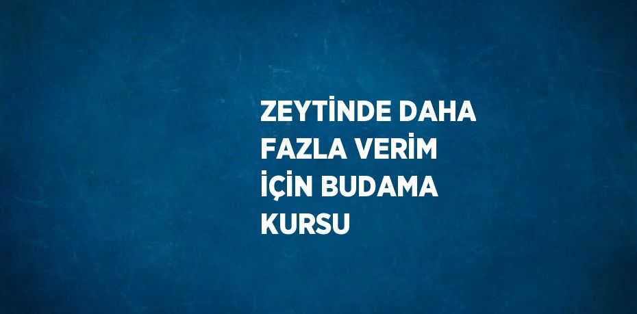 ZEYTİNDE DAHA FAZLA VERİM İÇİN BUDAMA KURSU