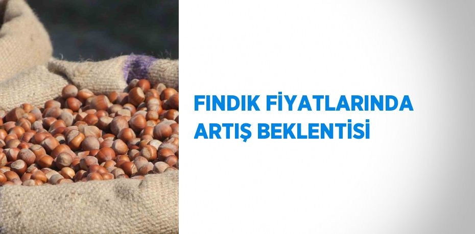 FINDIK FİYATLARINDA ARTIŞ BEKLENTİSİ