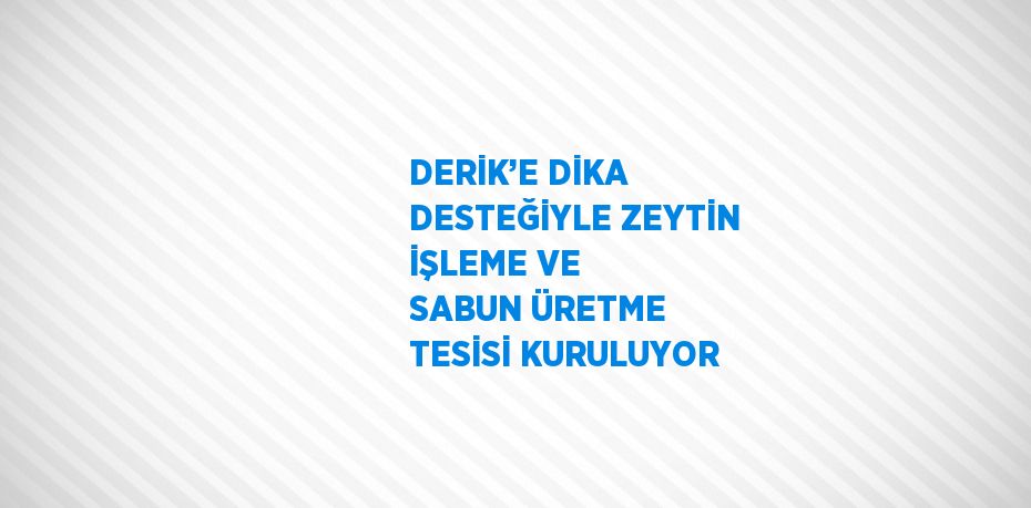 DERİK’E DİKA DESTEĞİYLE ZEYTİN İŞLEME VE SABUN ÜRETME TESİSİ KURULUYOR