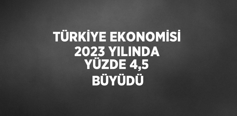 TÜRKİYE EKONOMİSİ 2023 YILINDA YÜZDE 4,5 BÜYÜDÜ