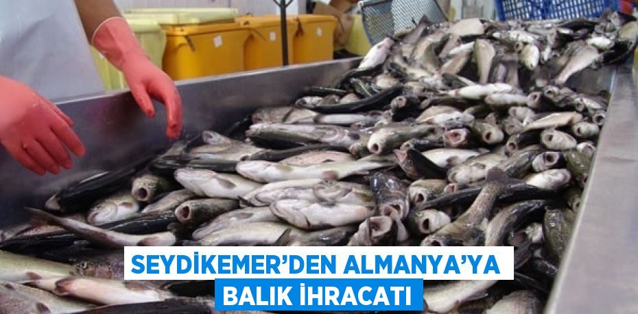 SEYDİKEMER’DEN ALMANYA’YA BALIK İHRACATI