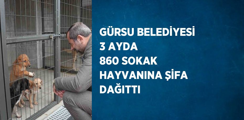 GÜRSU BELEDİYESİ 3 AYDA 860 SOKAK HAYVANINA ŞİFA DAĞITTI