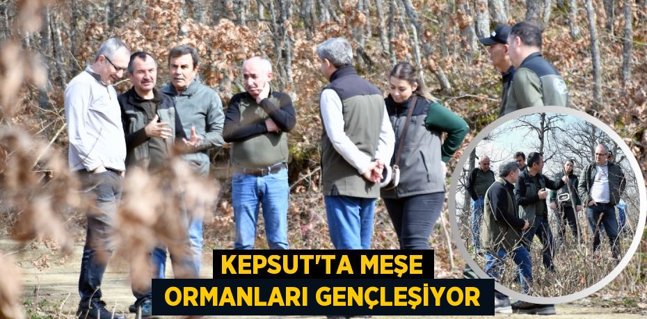 KEPSUT’TA MEŞE  ORMANLARI GENÇLEŞİYOR