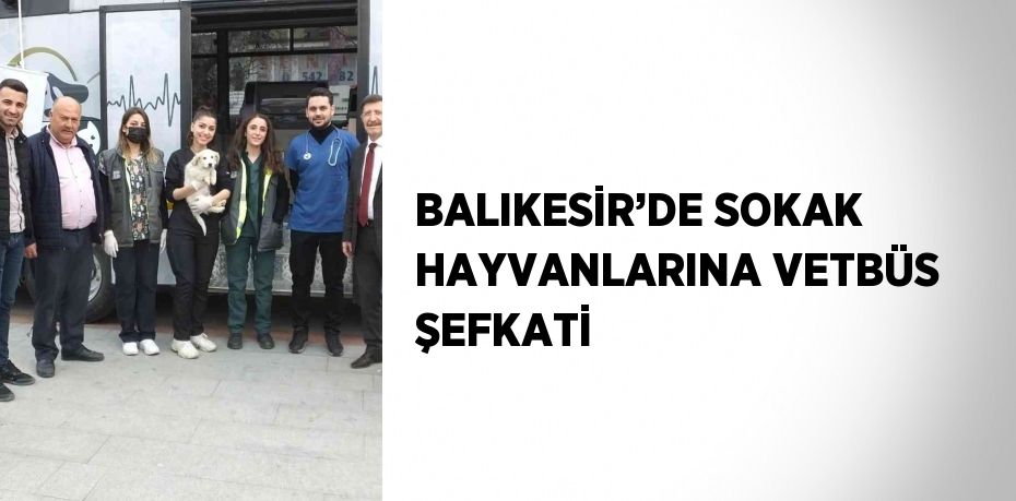 BALIKESİR’DE SOKAK HAYVANLARINA VETBÜS ŞEFKATİ