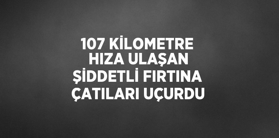 107 KİLOMETRE HIZA ULAŞAN ŞİDDETLİ FIRTINA ÇATILARI UÇURDU