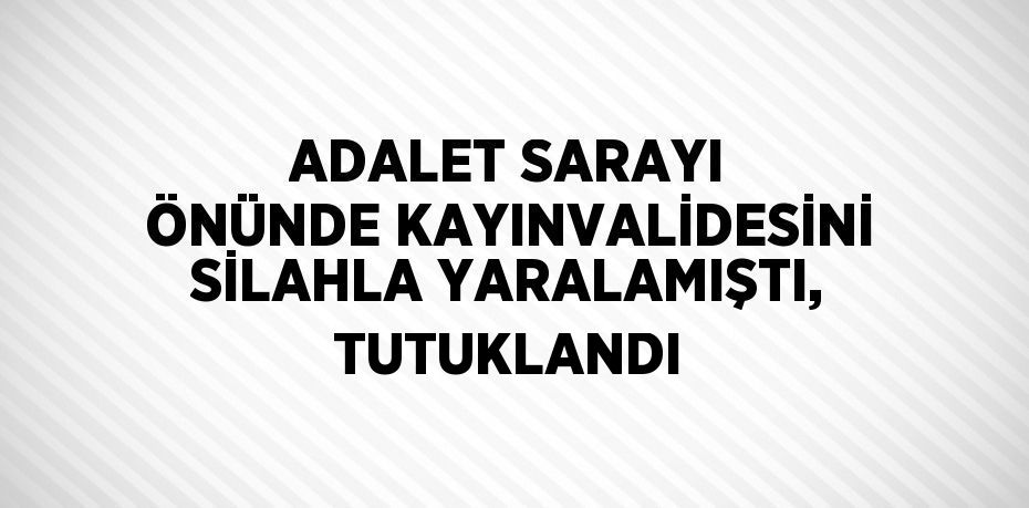 ADALET SARAYI ÖNÜNDE KAYINVALİDESİNİ SİLAHLA YARALAMIŞTI, TUTUKLANDI