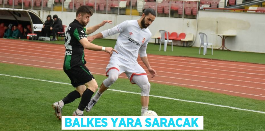 BALKES YARA SARACAK