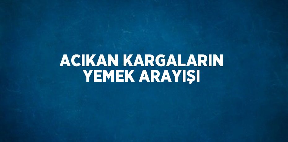 ACIKAN KARGALARIN YEMEK ARAYIŞI