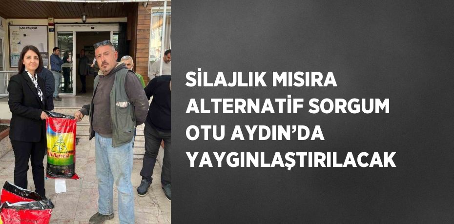 SİLAJLIK MISIRA ALTERNATİF SORGUM OTU AYDIN’DA YAYGINLAŞTIRILACAK