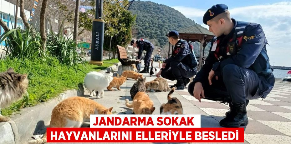 JANDARMA SOKAK HAYVANLARINI ELLERİYLE BESLEDİ