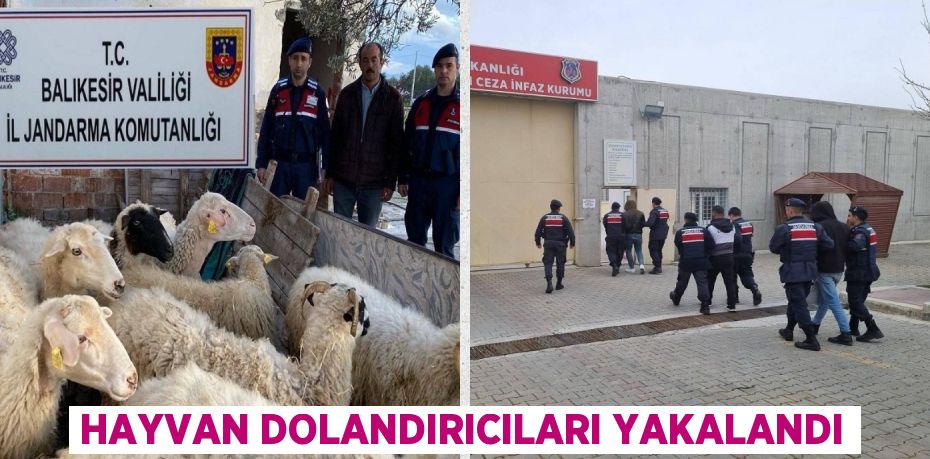 HAYVAN DOLANDIRICILARI YAKALANDI