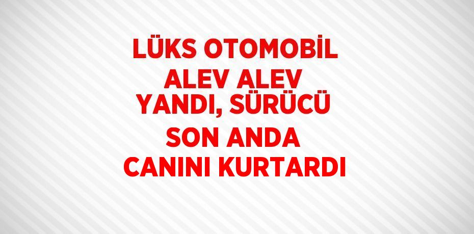 LÜKS OTOMOBİL ALEV ALEV YANDI, SÜRÜCÜ SON ANDA CANINI KURTARDI