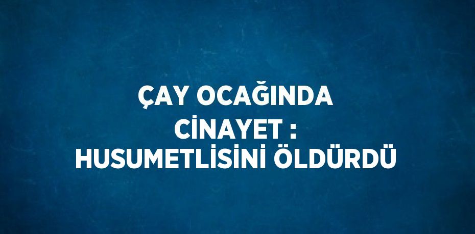 ÇAY OCAĞINDA CİNAYET : HUSUMETLİSİNİ ÖLDÜRDÜ