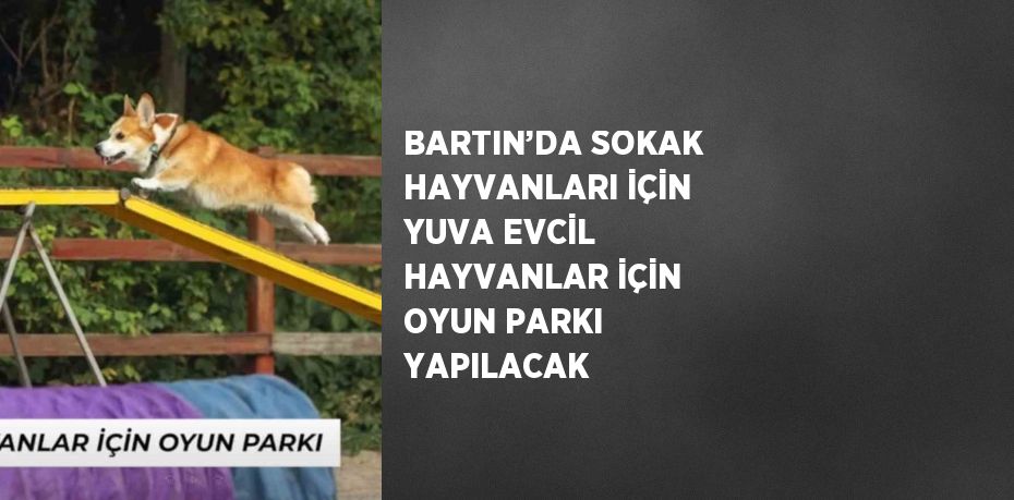 BARTIN’DA SOKAK HAYVANLARI İÇİN YUVA EVCİL HAYVANLAR İÇİN OYUN PARKI YAPILACAK