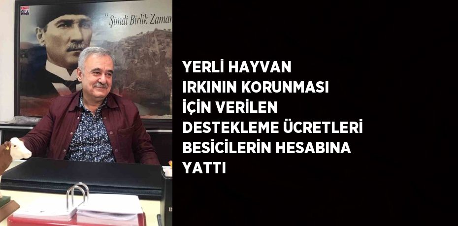 YERLİ HAYVAN IRKININ KORUNMASI İÇİN VERİLEN DESTEKLEME ÜCRETLERİ BESİCİLERİN HESABINA YATTI