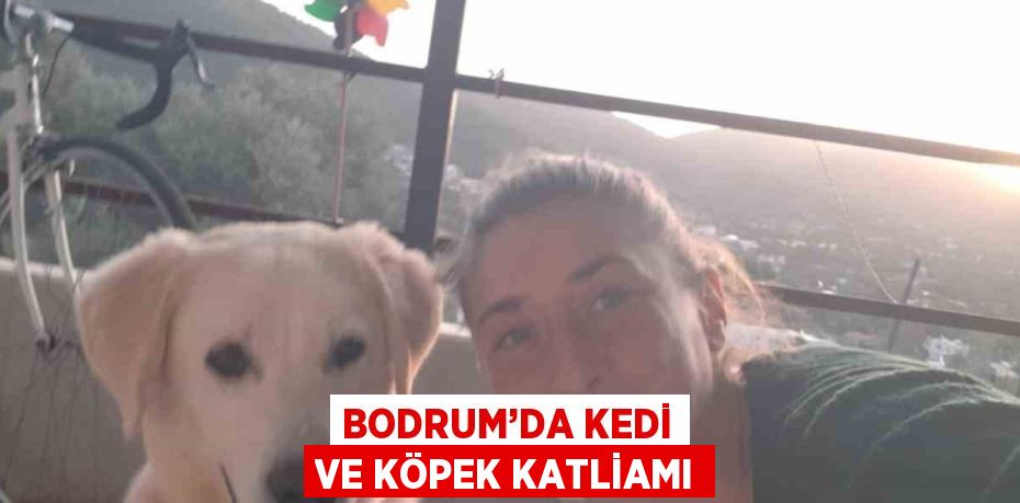 BODRUM’DA KEDİ VE KÖPEK KATLİAMI