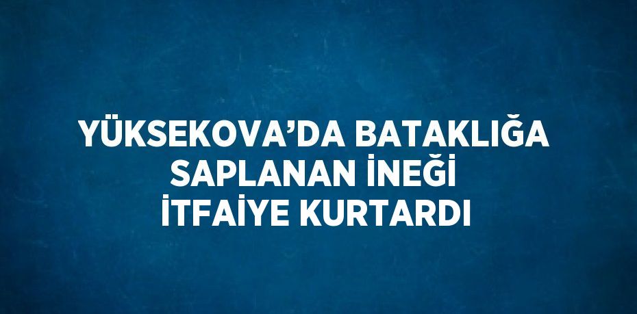 YÜKSEKOVA’DA BATAKLIĞA SAPLANAN İNEĞİ İTFAİYE KURTARDI