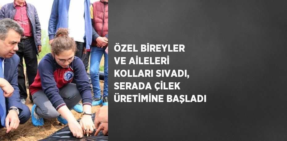 ÖZEL BİREYLER VE AİLELERİ KOLLARI SIVADI, SERADA ÇİLEK ÜRETİMİNE BAŞLADI