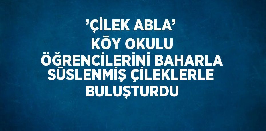 ’ÇİLEK ABLA’ KÖY OKULU ÖĞRENCİLERİNİ BAHARLA SÜSLENMİŞ ÇİLEKLERLE BULUŞTURDU