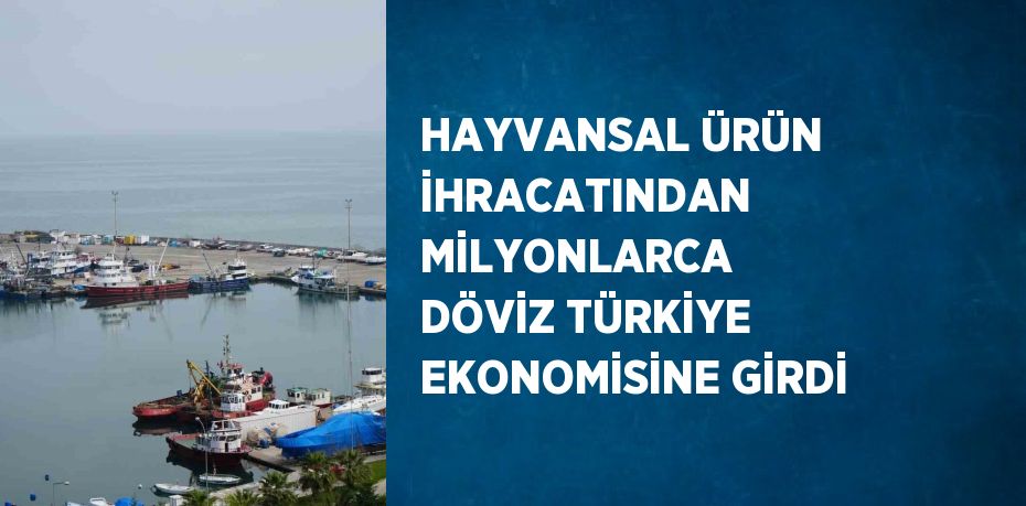 HAYVANSAL ÜRÜN İHRACATINDAN MİLYONLARCA DÖVİZ TÜRKİYE EKONOMİSİNE GİRDİ