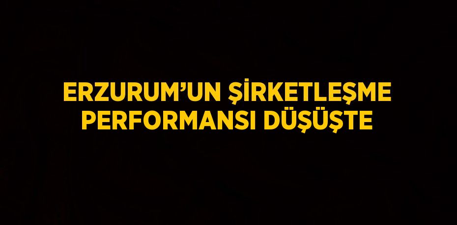 ERZURUM’UN ŞİRKETLEŞME PERFORMANSI DÜŞÜŞTE