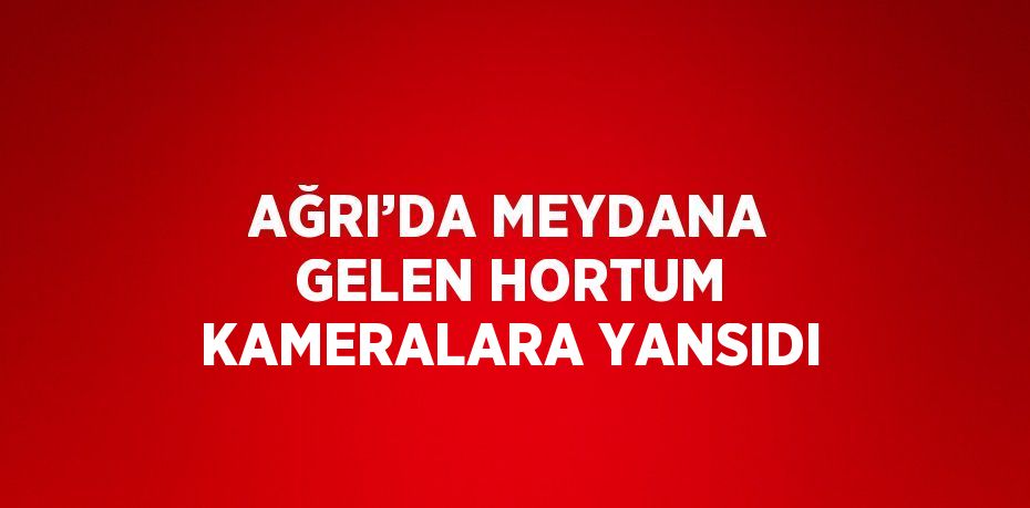 AĞRI’DA MEYDANA GELEN HORTUM KAMERALARA YANSIDI