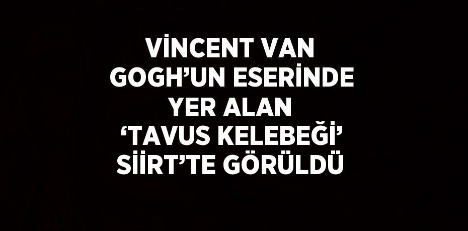 VİNCENT VAN GOGH’UN ESERİNDE YER ALAN ‘TAVUS KELEBEĞİ’ SİİRT’TE GÖRÜLDÜ