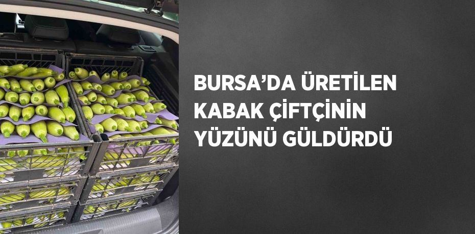 BURSA’DA ÜRETİLEN KABAK ÇİFTÇİNİN YÜZÜNÜ GÜLDÜRDÜ