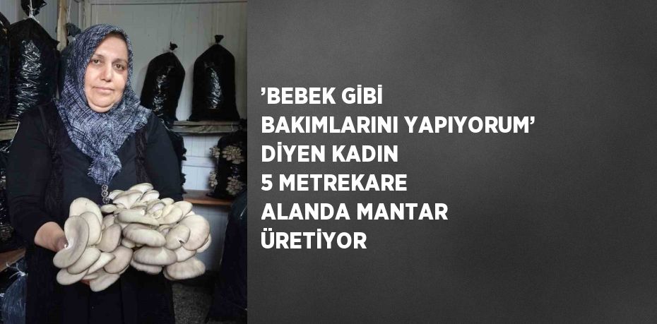 ’BEBEK GİBİ BAKIMLARINI YAPIYORUM’ DİYEN KADIN 5 METREKARE ALANDA MANTAR ÜRETİYOR