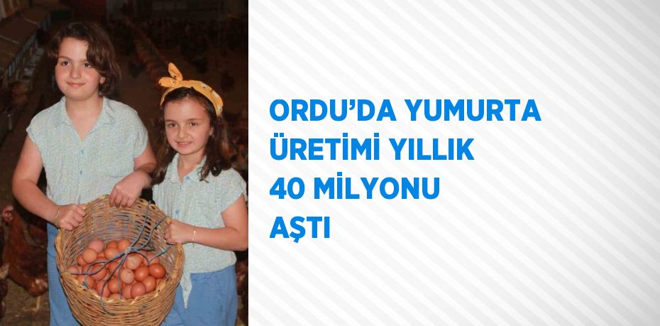 ORDU’DA YUMURTA ÜRETİMİ YILLIK 40 MİLYONU AŞTI