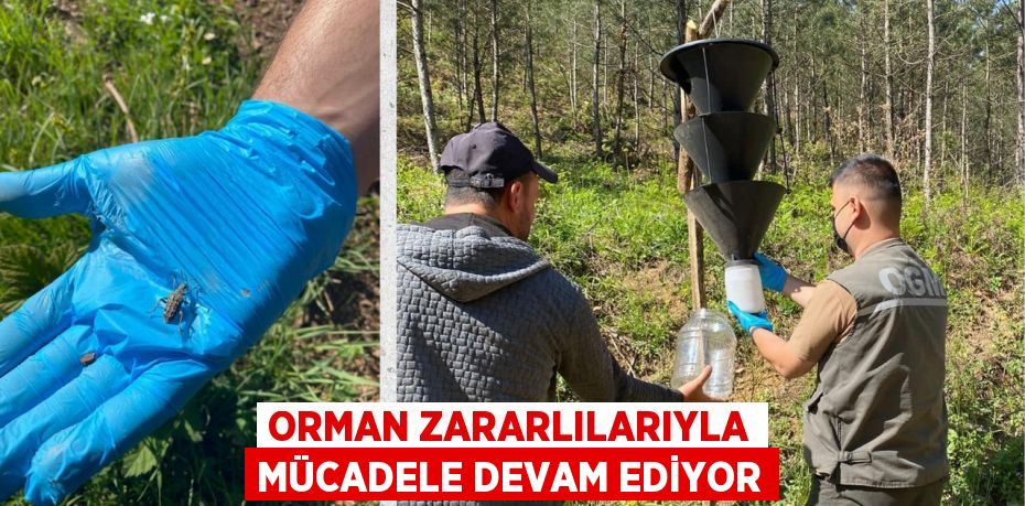 ORMAN ZARARLILARIYLA MÜCADELE DEVAM EDİYOR