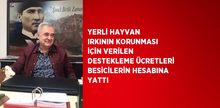 YERLİ HAYVAN IRKININ KORUNMASI İÇİN VERİLEN DESTEKLEME ÜCRETLERİ BESİCİLERİN HESABINA YATTI