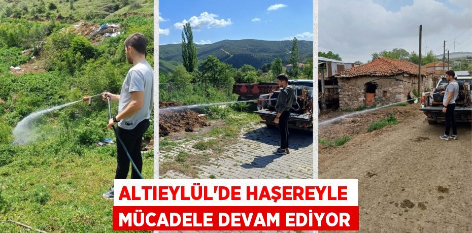 ALTIEYLÜL’DE HAŞEREYLE MÜCADELE DEVAM EDİYOR