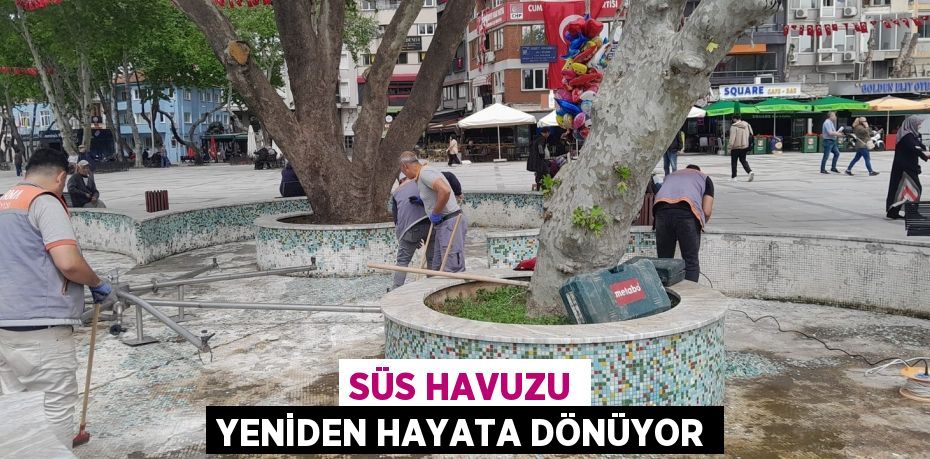 SÜS HAVUZU YENİDEN HAYATA DÖNÜYOR